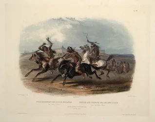 Sioux-indianernes hesteveddeløp